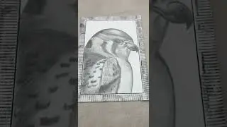 Art that captures the quiet courage of flight 🐦🎨#sparrow #drawing #art #deepart