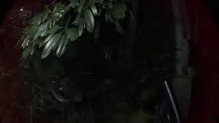 RE7 parte