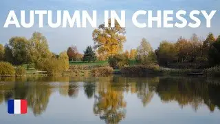 Autumn in Chessy  | Nikon D610 | France 🇫🇷 4K
