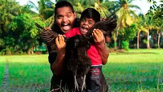 Black Chicken Cooking With Kutti Puli | Hyderabad style kadaknath chicken gravy | Mottamaadi Samayal