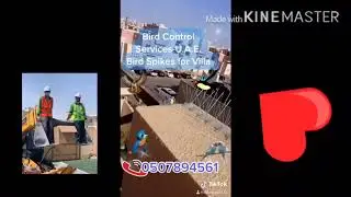 Advanced Bird Control Services in UAE ( WhatsApp 0507894561 / Call 026748708)