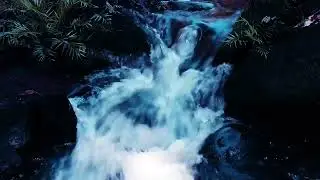 Nature's Water Symphony 🌊 Healing Sounds for the Soul 🌼 Perfect for Relaxation and Sleep