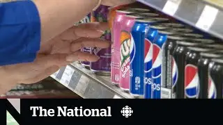 Ontario begins producer-pay recycling. But is it enough to increase uptake?