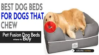Dog Beds For Dogs That Chew | Chew Proof Dog Bed | Best Dog Beds 2021