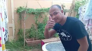 Nag tanim ako ng mustasa kabayan! #ofw #uae #buhayofw #abudhabi #farmlife #kabayanvlog