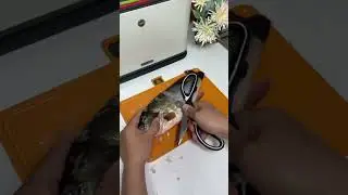 Multifunctional kitchen scissors that every family should have, really convenient for cooking
