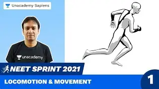 Locomotion & Movement Part 1 | Biology Sprint NEET 2021 | Dr R K Sir | Unacademy Sapiens