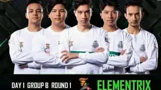 Team Elementrix  pride of nepal  first chicken dinner in PMSC WORLD CUP