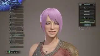 Monster Hunter Tutorial and Customization