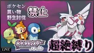 【鬼畜】ポケモンセンター禁止縛りでパールをクリアしたい！！22日目(01/05)【VKnuclue/ぶいなくる】