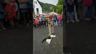 Visegrad Medieval Games 2019 - Court Jesters