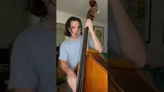 Oh mama bass line #jazzbass #bass #scottsbasslessons #jazzbasslovers