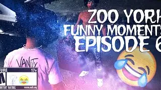 GTA RP | ZOO YORK RP | Funny Moments Episode 6 😂VERY FUNNY Tayyrom, MDSwervin,Jaystayup,Vercetti