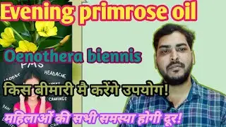 Evening primrose oil capsule use and benifit//Codesoft EPO capsule//Primosa capsule //