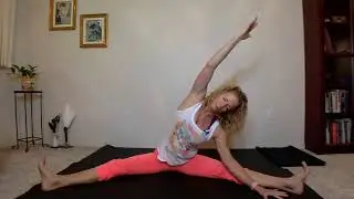 Moving into Stillness   Forrest Yoga with Cheryl Deer   75 minutes