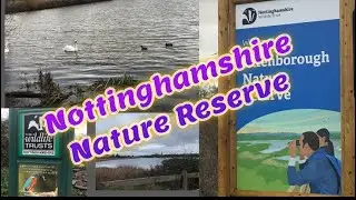 Attenborough Nature Reserve || Wildlife  Trust Nottinghamshire