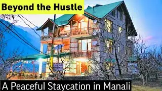 A Cozy Escape in Manali | Best Staycation in Manali