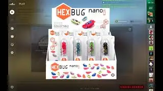 hexbugs