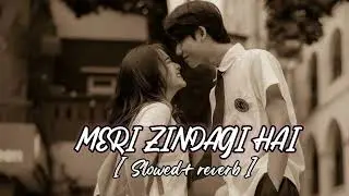 Meri Zindagi Hai Tu | Slowed reverb 