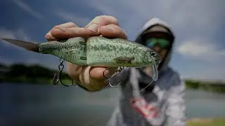 This Is The ONLY Swimbait You Need To Catch More Bass In Ponds!