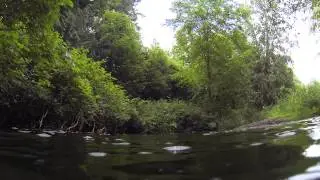 Little Campbell River: Re-meander Restoration