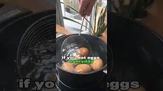 Eating 5 eggs a day for 27 Days?? #eggday