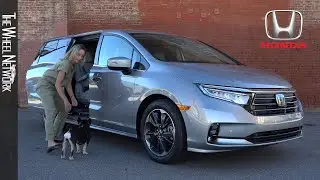 2021 Honda Odyssey Rear Seat Reminder with Dog (Honda CabinWatch)