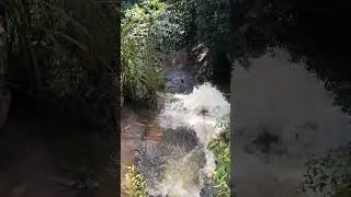 rumo 102anos.                         #cachoeira do SAAE