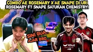 COMBO AE ROSEMARY X AE SNAPE‼️ROSEMARY SATUKAN CHEMISTRY DI ULTIMATE ROYALE‼️PUBG MOBILE