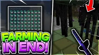 HOW TO FARM IN END *BEST METHOD* - HOW TO HCF #2 | Minecraft HCF