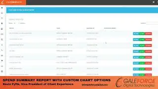 Using GaleForce Media to Build Custom Charts in a Spend Summary Report