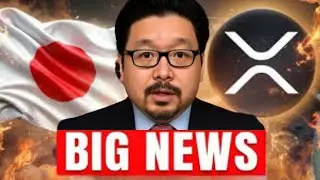 OMG! Japan Is UNWINDING! XRP Is About To Burst!_