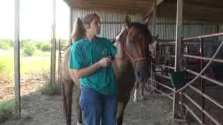 Removing, Preventing Ticks On Horses Naturally