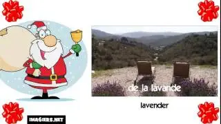 How to say lavender in French