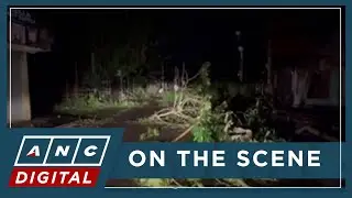 LOOK: Several roads in Tinambac, Camarines Sur blocked by fallen trees | ANC