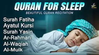 Relaxing Quran For Sleep And Your All Problems Solve | By Alaa Aqel |  Relaxing - Holy Quran