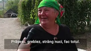 Cu ce se ocupă locuitorii din Mereni toamna, în zi de sâmbătă