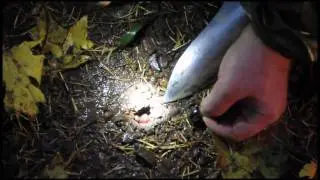 Searching for Rain Beetles with Chris Marshall
