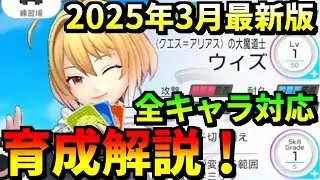 【フェスバ+】Steam版リリース記念！半年ぶりに育成の基本を徹底解説！序盤を一気に遊びやすく！【攻略】