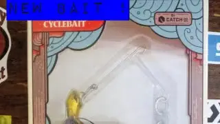 10,000 Fish New Bait