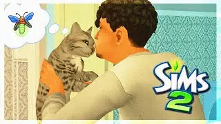 Kitties for Everyone! | Sims 2 Uberhood | Round 2 Part 32