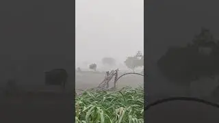⛈️ વાવણી નો વરસાદ || Village life vlog || #Dinesh Mini Vlogs || 26 / 6 / 2024 #viral