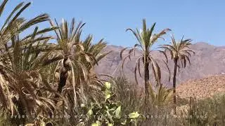 The Lionhead of Tafraoute | la t&ecirc;te de lion de Tafraoute