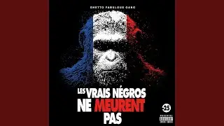 Je ne suis pas ton négro