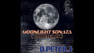 D.Peter.J - Moonlight sonata (tribute mix)