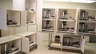 Coulbourn Stimulus Response Behavioral Rodent Monitoring Testing System Habitest