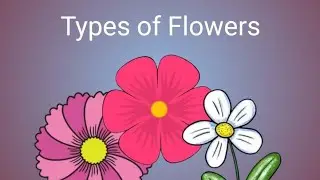 Types of Flowers
