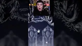 I beat Hollow Knight's Path of Pain!!!