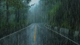 Rain Noises for Sleep & Relaxation | Soothing Rain and Wind Sounds on a Peaceful Night Street