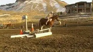 bareback, bridleless jumping